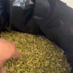 Cardamomo Green Dark Jumbo